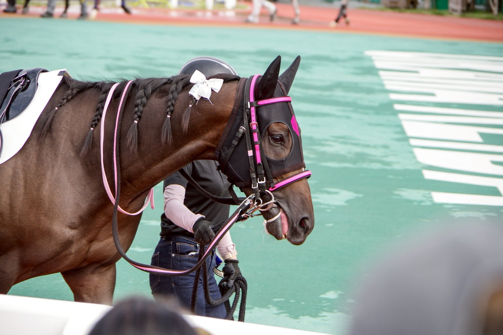 あき様 痛車 痛単車 カスタムバイク紹介 秋葉原UDX駐車場ブログ: 秋葉原