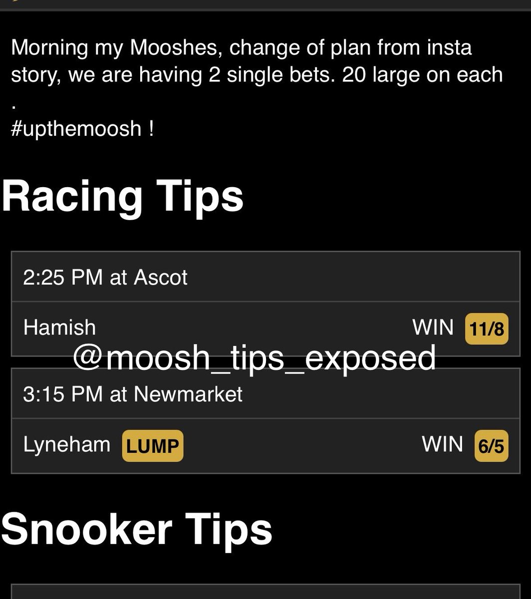 Moosh_tips_exposed tweet media
