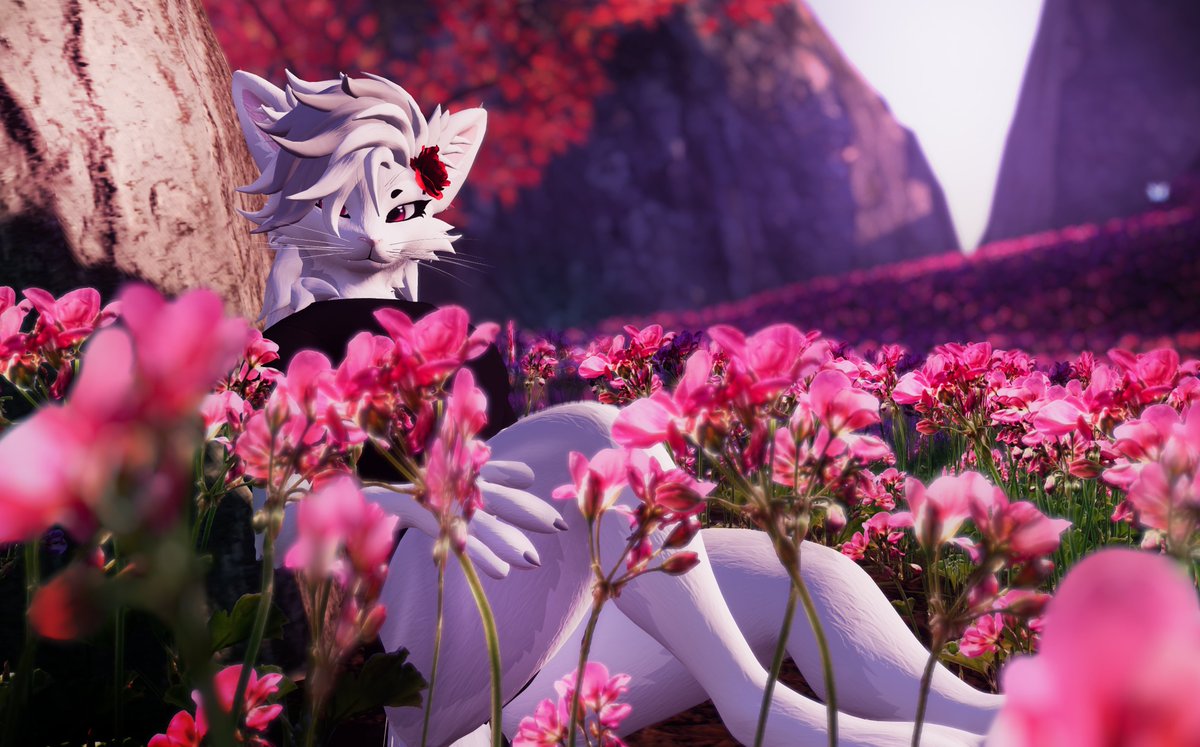 Whatchu looking at with them big ol' eyes? 👀