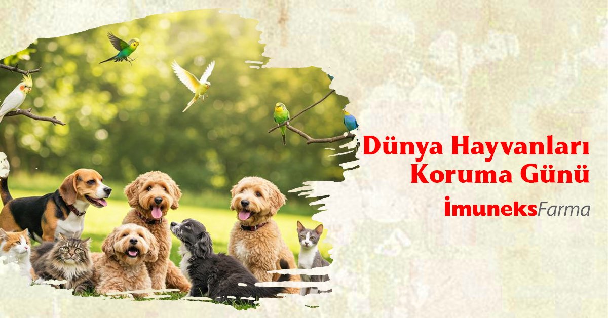Hayvanları korumak, yaşamın bütününü korumaktır. 
4 Ekim Dünya Hayvanları Koruma Günü kutlu olsun! 🐾