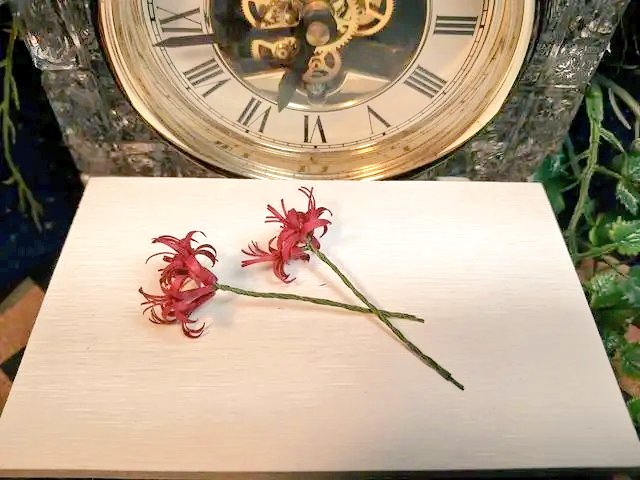 ミニチュアサイズ彼岸花の受注生産をおこないます、詳細はミンネにてご覧ください。
赤色の他に白、黄色、青など色のオーダーも柔軟に対応できますのでお好きな色で是非どうぞ！

【受注生産】ミニチュア彼岸花の造花・色のオーダー可能 #minne 
minne.com/items/44025251