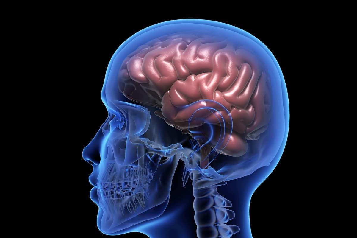 Scientists discover way to see tiny brain clusters that may trigger Parkinson’s standard.co.uk/news/science/f…