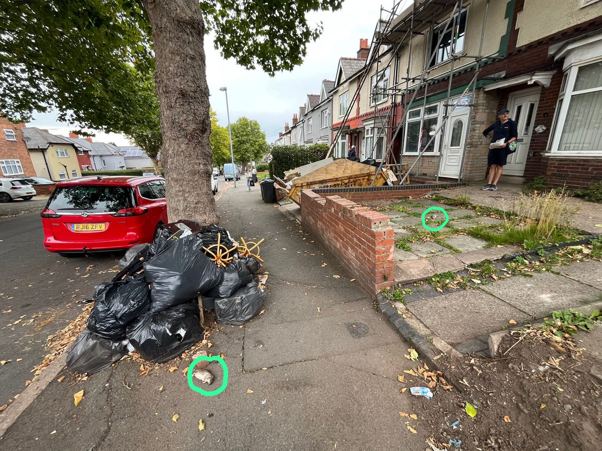 UniteEconomy's tweet photo. Filth in Ladywood.
Rubbish piling up. Dead rats lying in the street. Children walking to school through trash.
And where is @ShabanaMahmood?
Where is @BhamCityCouncil?
Where is @UKLabour?
Same old excuses. Still no solution.
#LabourFail #BirminghamBins #GetBackToTheTable https://t.co/QOtJPR6ozz