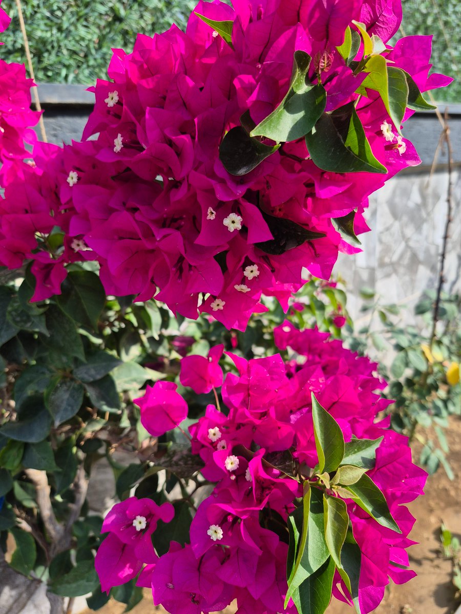 Zaman, öyle mucizevi bir eczane ki;

Reçetesiz çalışıyor.

Yalnız tek sorun şu: etkisi biraz yavaş.

Hızlı çözüm isteyenler için maalesef,

“Hızlı kargo” seçeneği yok. 😅