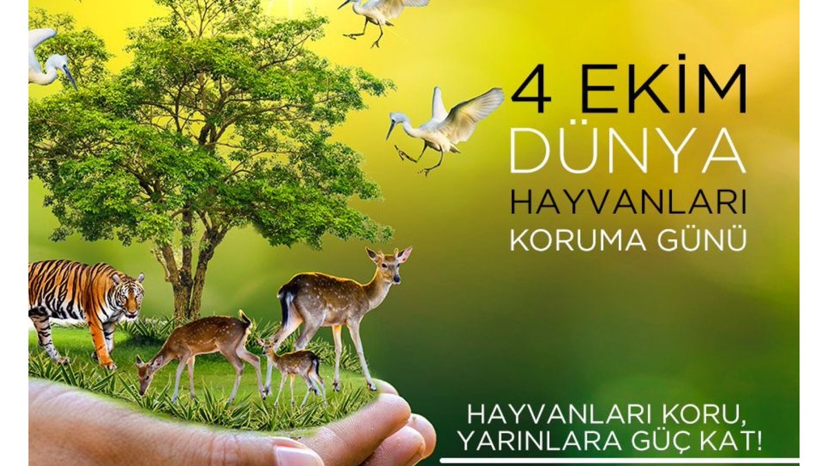 Bugün 4 Ekim iyiliğin günü olsun.