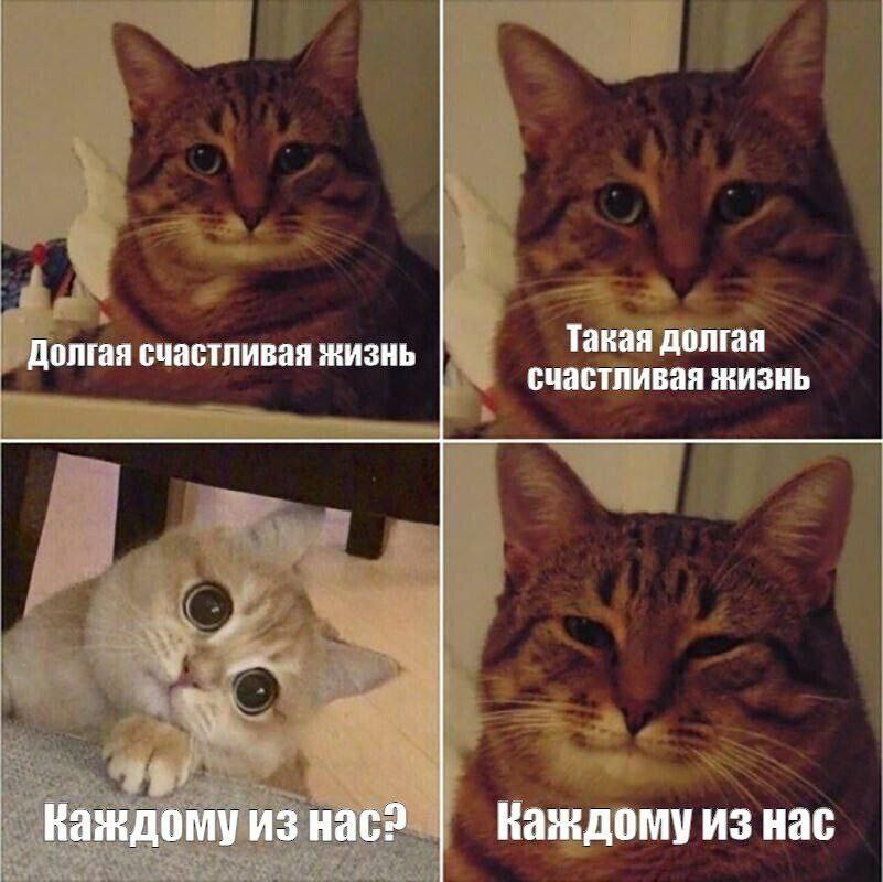 Nickro (@nickro666) on Twitter photo 