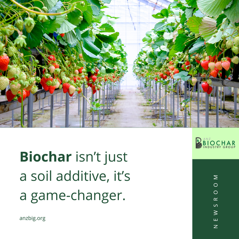 Biochar isn’t just a soil additive, it’s a game-changer! It can improve water retention (e.g., boosting available water capacity by ~28% and porosity by ~9%) and enhance nutrient availability.

Sources: PubMed, Frontiers, Microjournal, SpringerLink, The Times of India

#ANZBIG