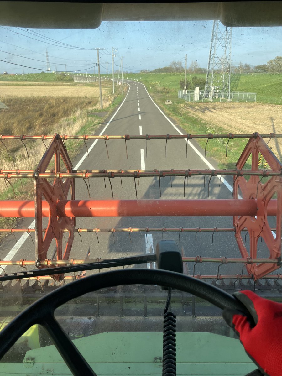 急遽蕎麦刈りに出動