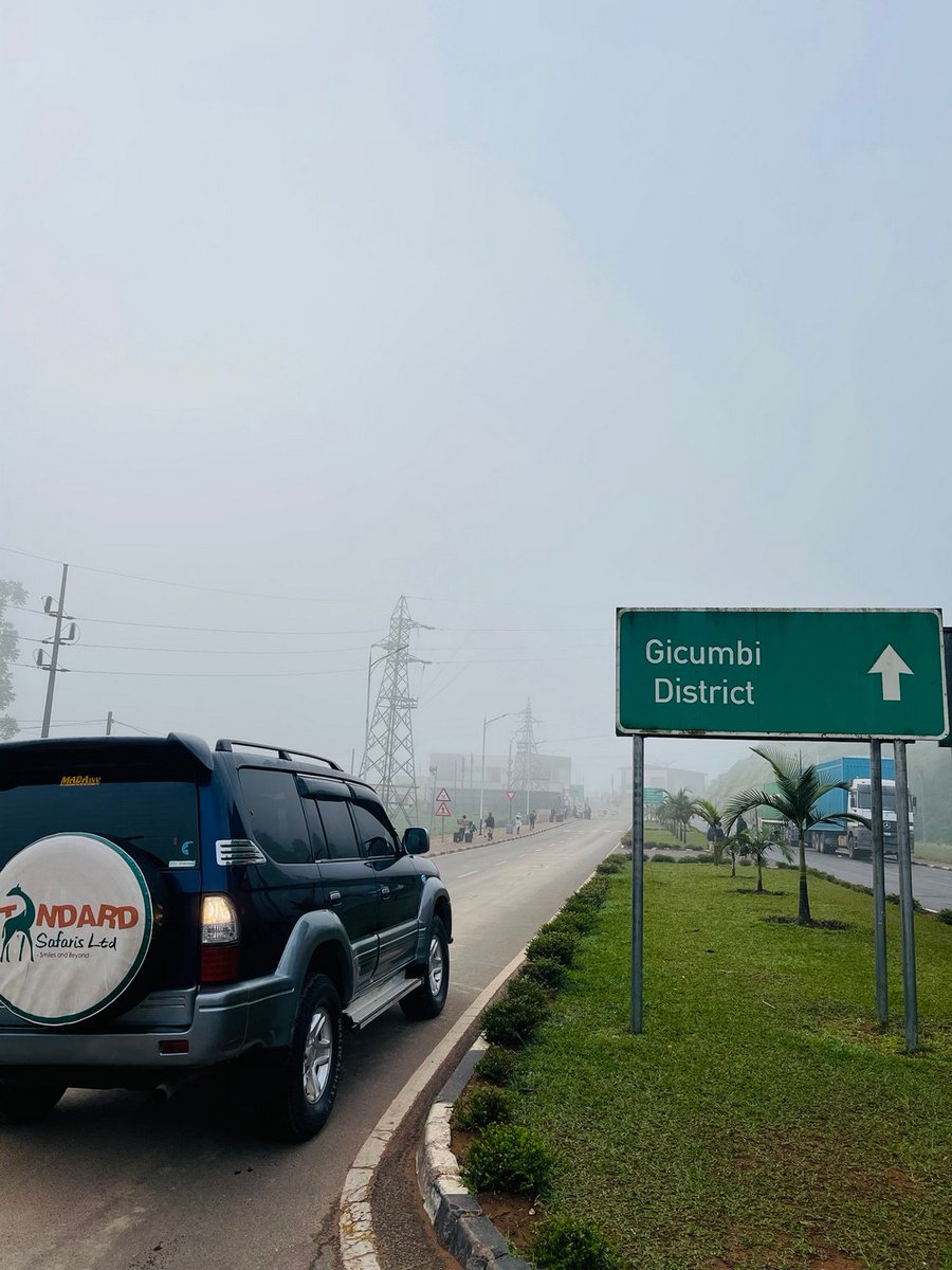 SafarisStandard's tweet image. Anyone else excited for a Saturday scenic drive???🙋🤪
Tarmacked roads stretching ahead, open skies above, emerald landscapes rolling by, and safari vehicles lined up and ready for adventure. 🌍 Happy weekend, wherever the road takes you!🥳
standardgorillasafaris.com #luxurysafaris