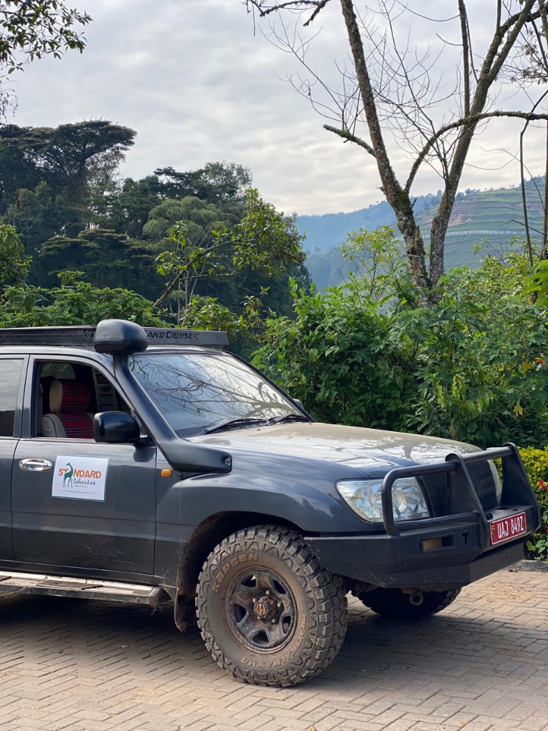 SafarisStandard's tweet image. Anyone else excited for a Saturday scenic drive???🙋🤪
Tarmacked roads stretching ahead, open skies above, emerald landscapes rolling by, and safari vehicles lined up and ready for adventure. 🌍 Happy weekend, wherever the road takes you!🥳
standardgorillasafaris.com #luxurysafaris