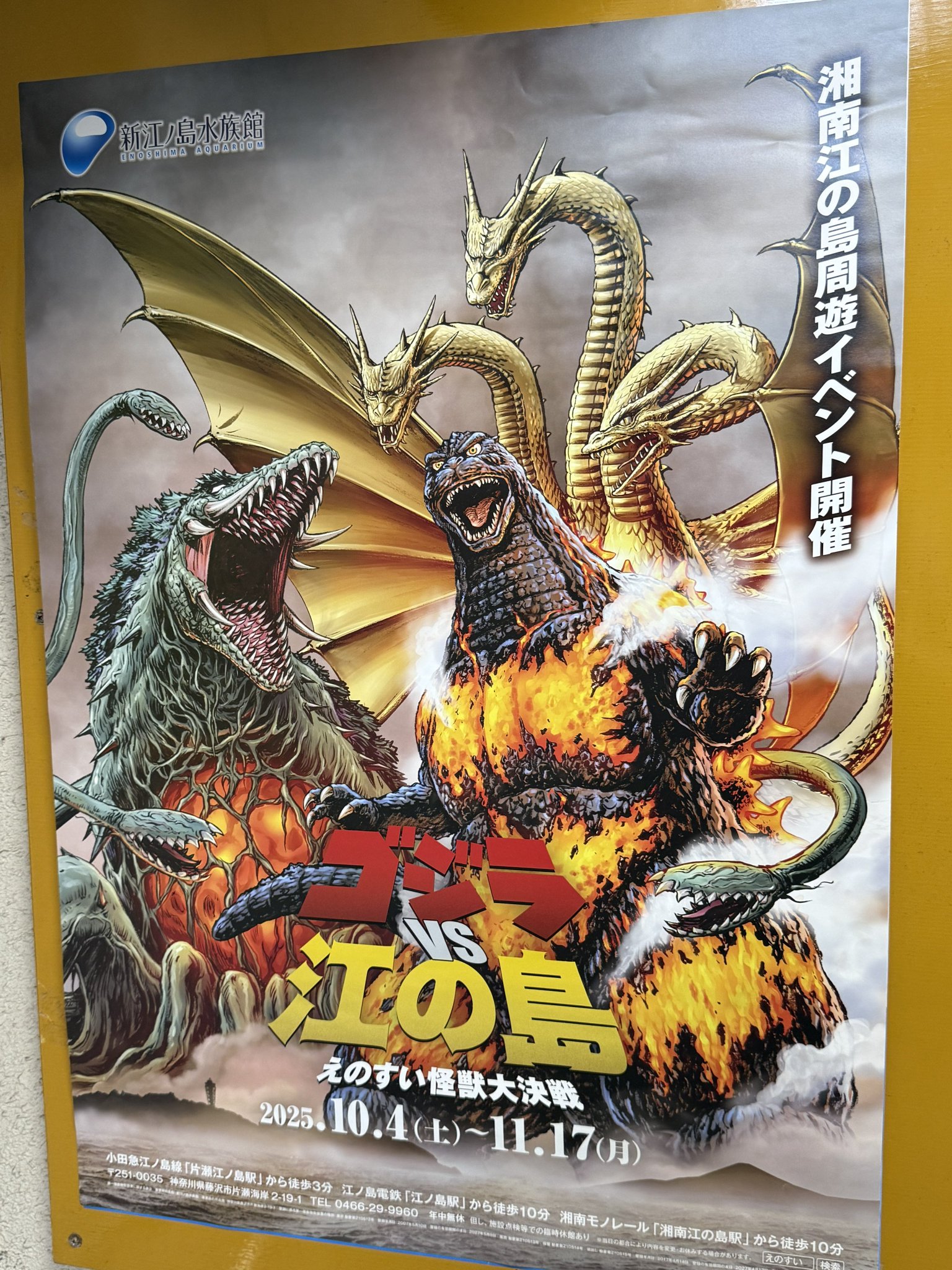 CCP 全種セット 新江ノ島水族館限定 ゴジラvs江ノ島 ソフビ ヘドラ モスラ CCP 全種セット 新江ノ島水族館限定 ゴジラvs江ノ島 ソフビ