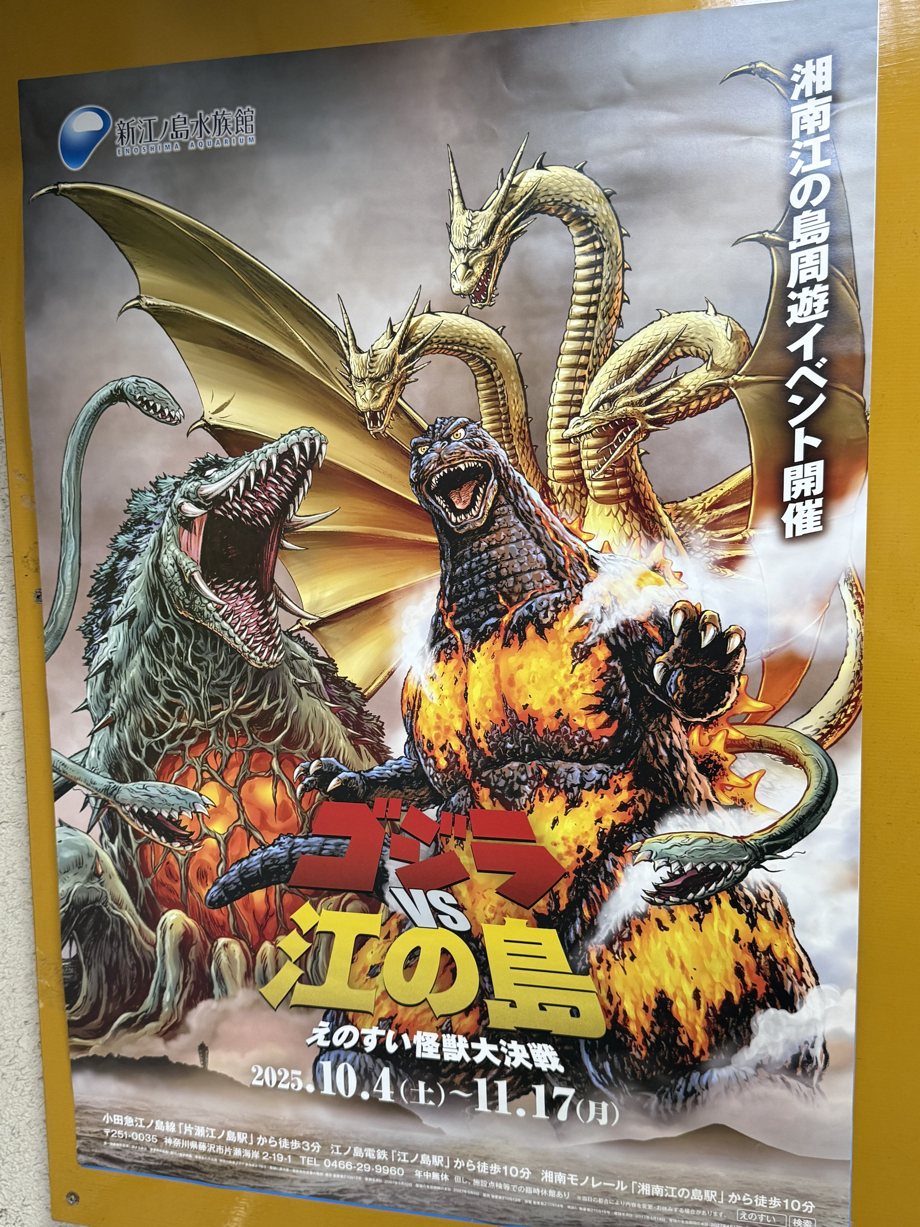 CCP ヘドラ 新江ノ島水族館限定カラー ゴジラ vs 江ノ島 ソフビ えのすい CCP ヘドラ 新江ノ島水族館限定カラー ゴジラ vs 江ノ島 ソフビ
