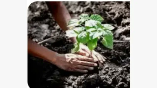 This image says it all 🌿
It starts with you. Make a difference.

View the post 👉 app.ecox.network/community/post…
Earn GREEN on @ECOX_ECOToEarn while you act:
app.ecox.network/register?refCo…

#ECOX #GREEN #ECO_TO_EARN