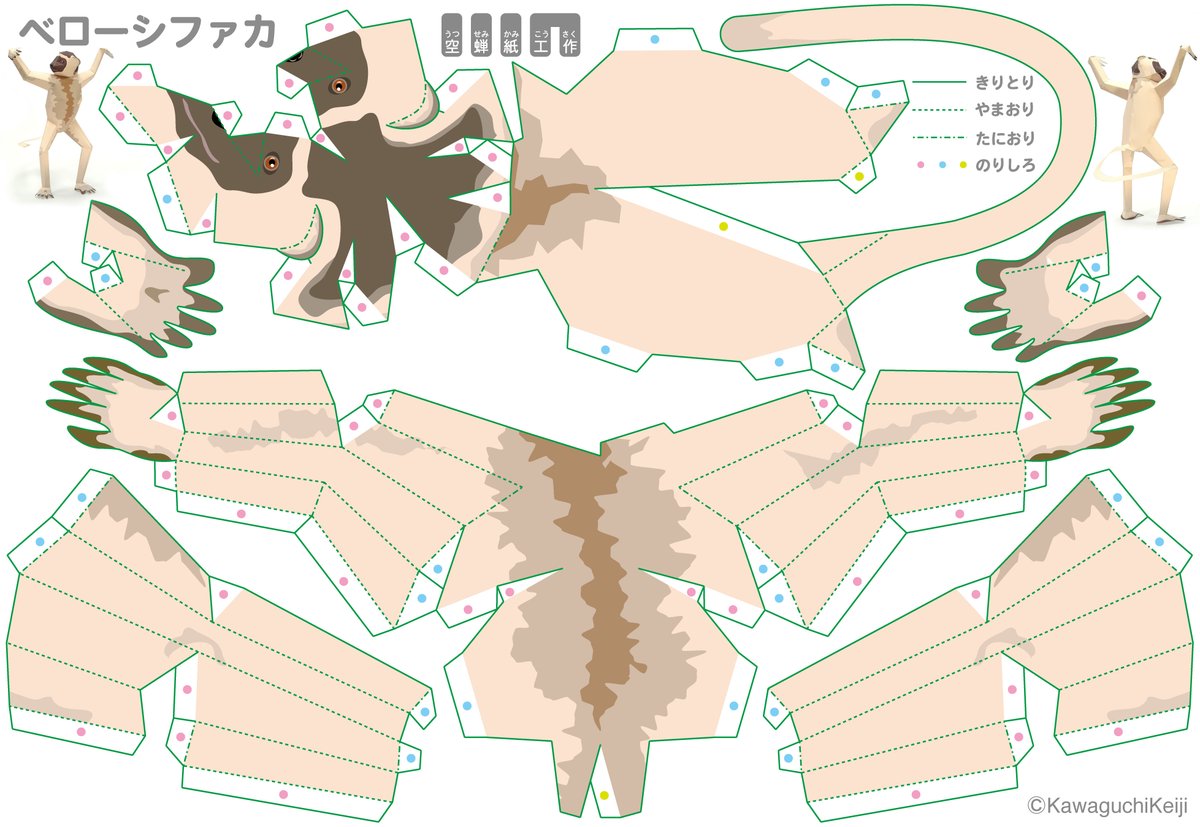 川口圭司 tweet media
