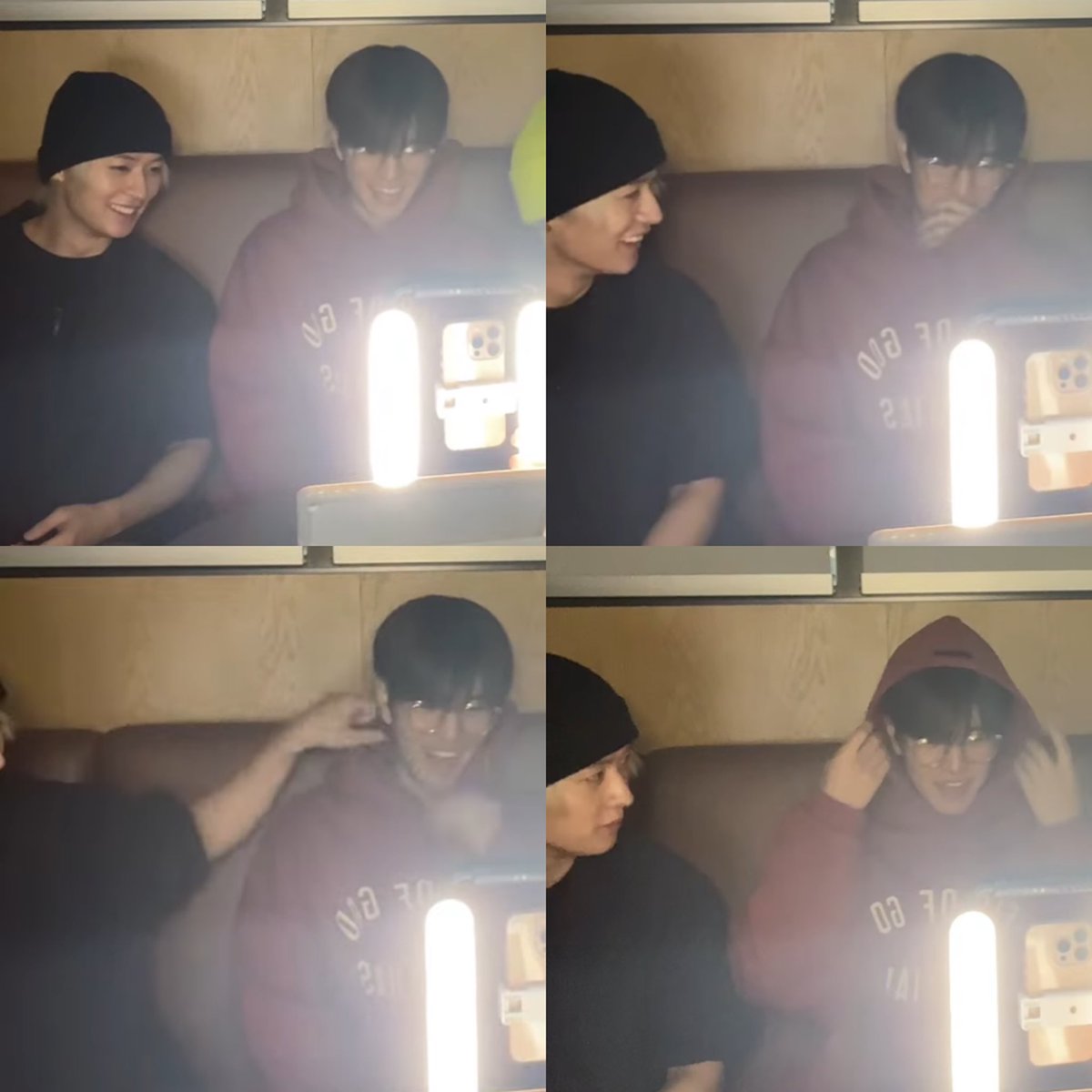 고양이 강아지님들 분위기가 2018-2019 같은데