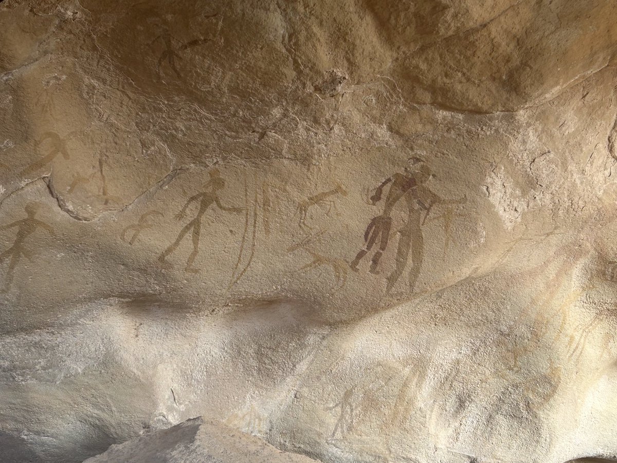 Dom Tulett tweet media