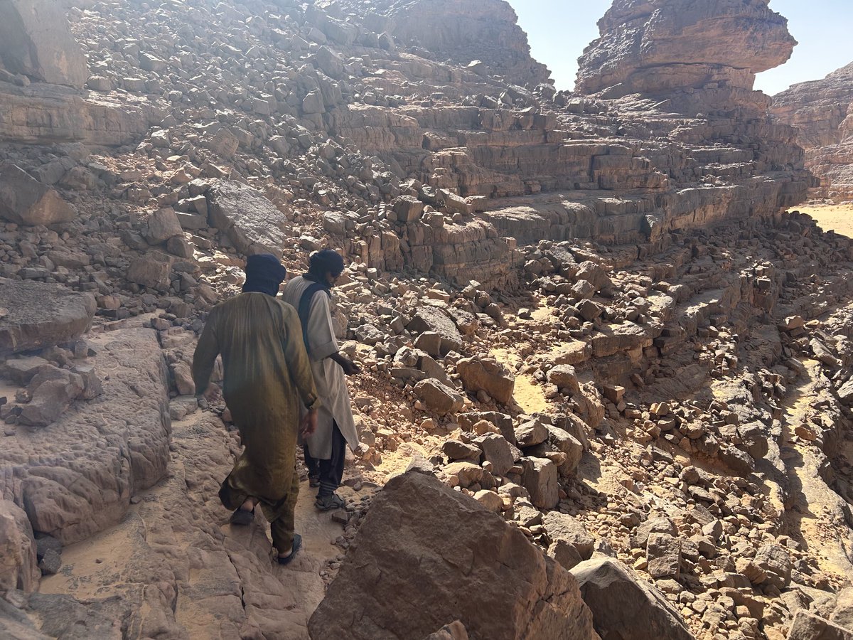 Dom Tulett tweet media