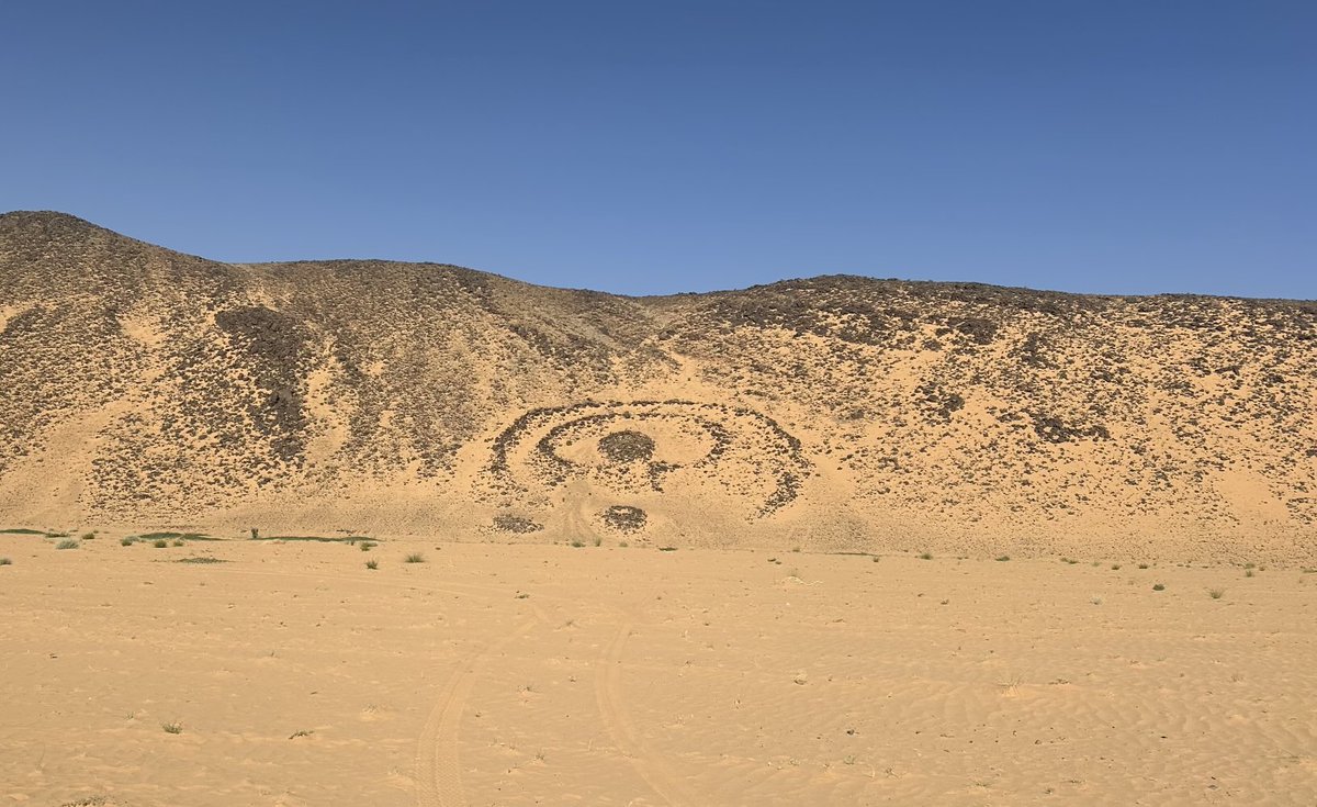 Dom Tulett tweet media