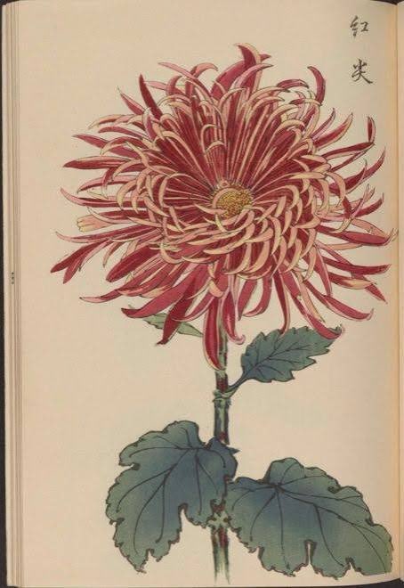 高市早苗氏が2025年10月4日 自民党総裁選で勝利し、新総裁に選出されました。これにより、日本初の女性首相への道が開かれました。高市氏の総裁就任は、経済政策や外交姿勢など、今後の日本の将来の方向性に関して高い期待を生んでいます。高市新体制に日本の立て直しを期待する。＼(^_^)／

￼