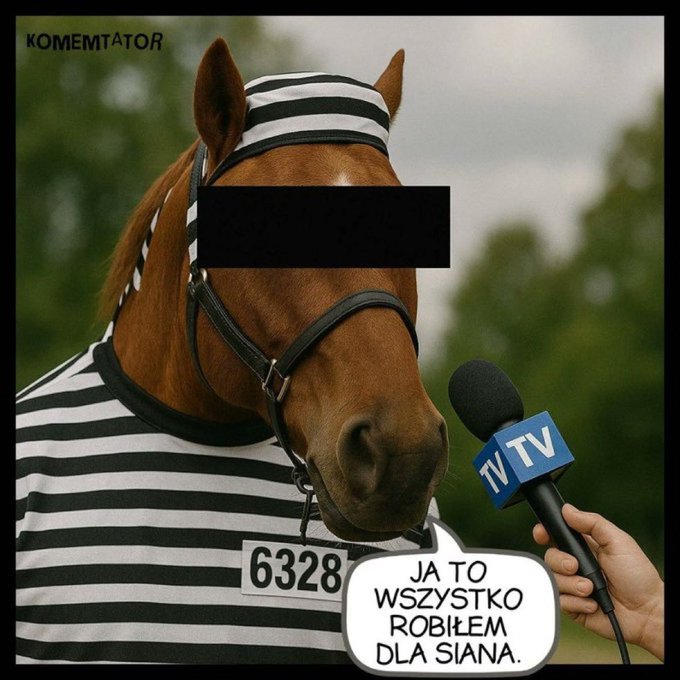 A horse wearing a black and white striped prison uniform with the number 6328. The horse has a black bar covering its eyes and is dressed in a headpiece resembling horse ears. A hand holds a microphone with a blue and white "TV" label near the horse\'s mouth. A speech bubble reads "JA TO WSZYSTKO ROZWIĄZKO DLA SIANA." A watermark "KOMENTATOR" is visible in the top left corner.