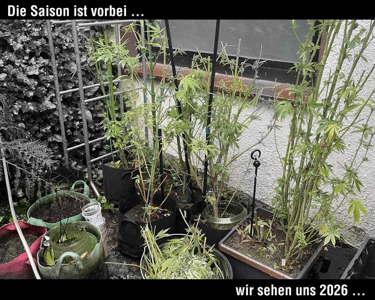 Das Erntedankfest kann kommen ...