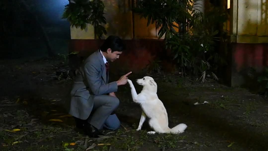 Sampaguita🦴🐾 tweet media