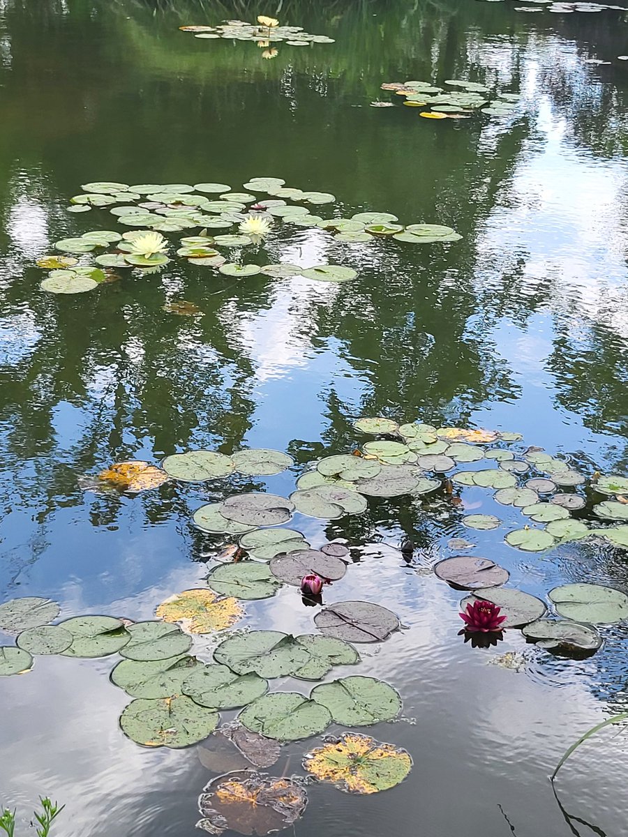 can you guess where i was in august? 🪷