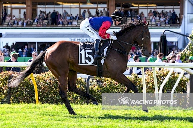 Carl Di Iorio tweet media