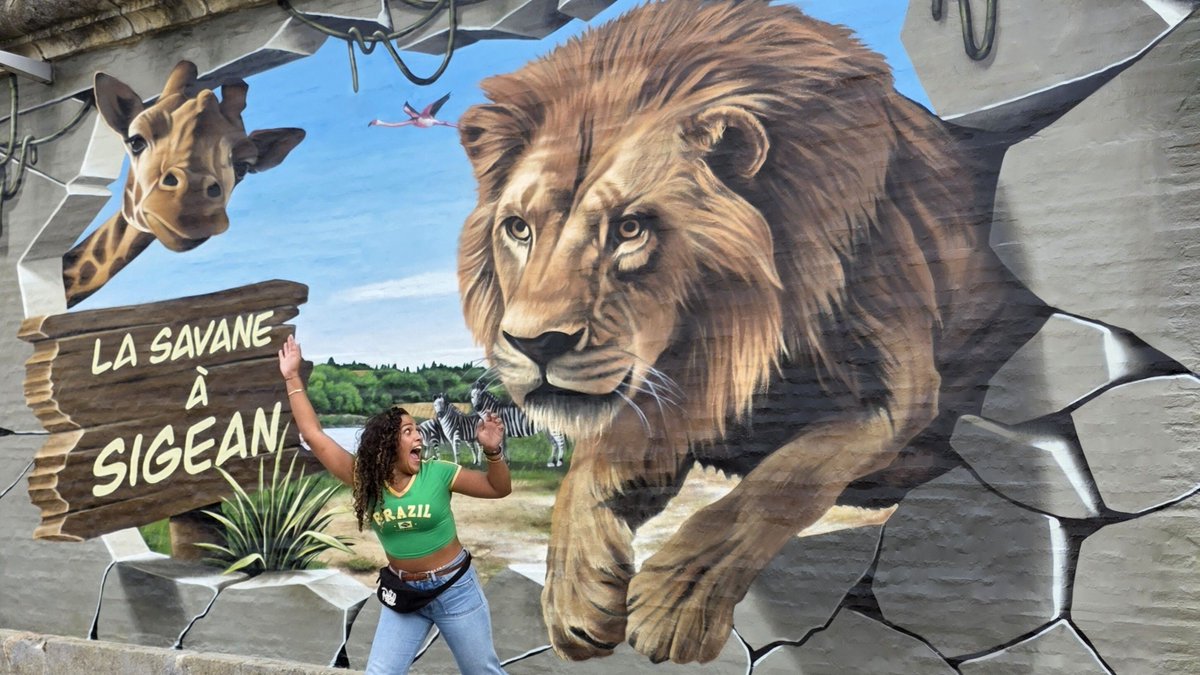 Plus que 2 jours pour observer les trompe-l’œil géants sur les quais de la Garonne 🦁 buff.ly/ocCcI2E #Toulouse #Tourisme #HauteGaronne #Occitanie