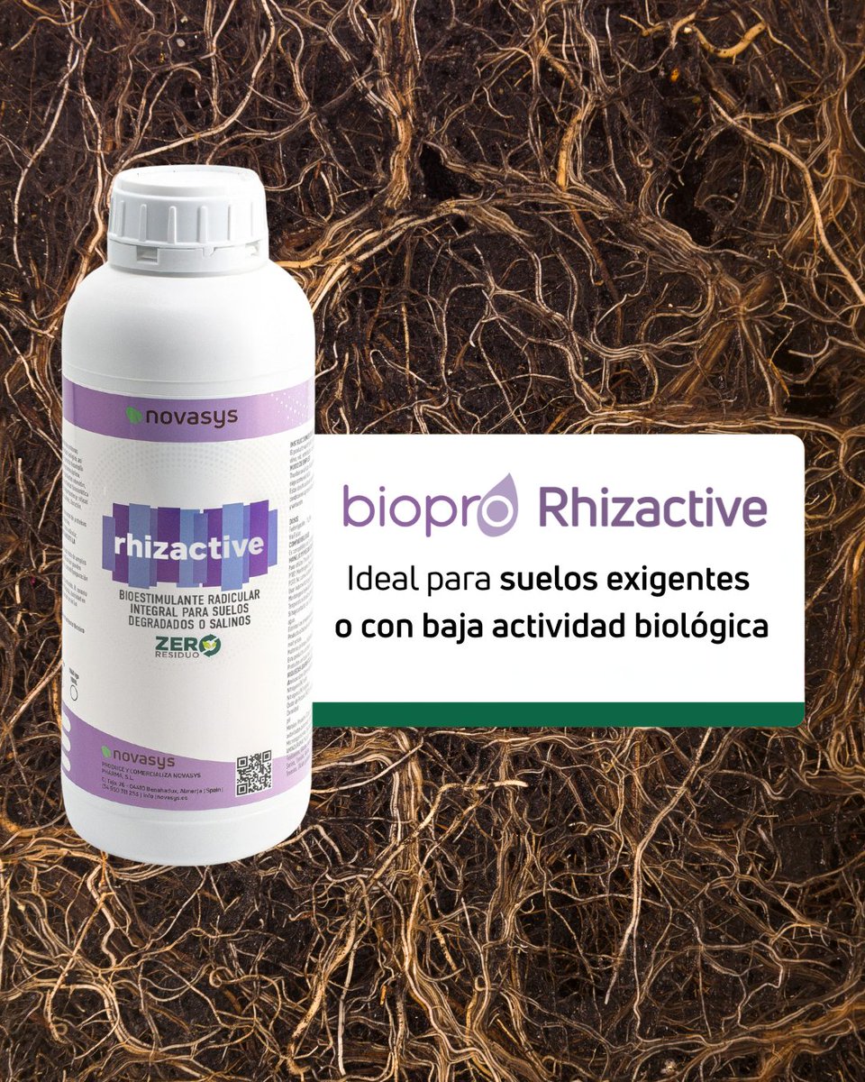 🌱 Un suelo vivo es la base de un cultivo fuerte.

BIOPRO RhizActive es el bioestimulante microbiológico de nueva generación que trabaja desde la raíz, ideal para cultivos exigentes o en suelos degradados, salinos o con baja actividad biológica.