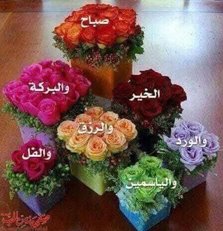 الأيام (@anasfifflorant) on Twitter photo 