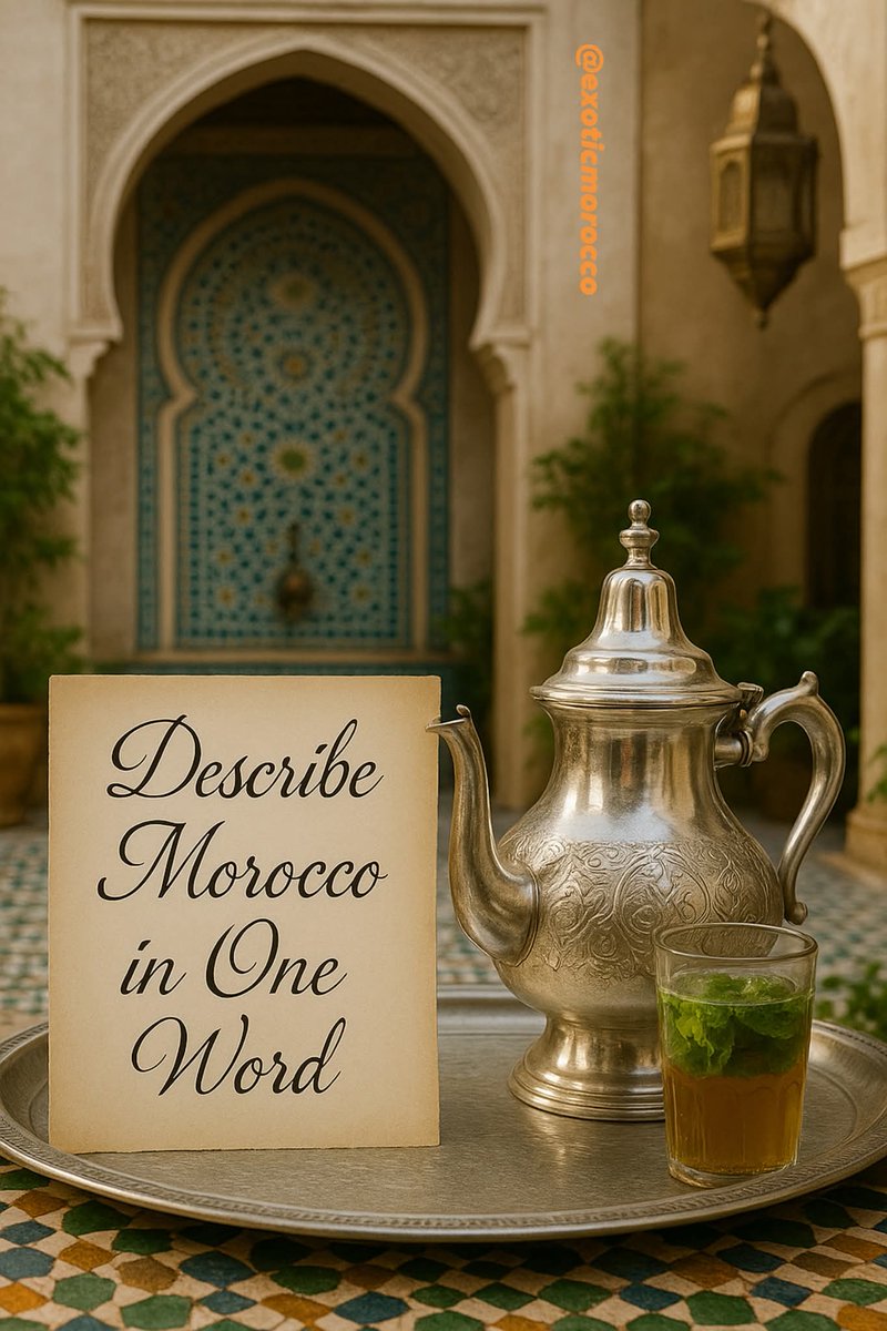 Mustapha69ma's tweet photo. Describe Morocco in one word 😍❤️🇲🇦
#Morocco #MoroccoMagic #ExoticMorocco #Wanderlust #CultureTrip #VisitMorocco #fblifestyle https://t.co/AG6o0SAX8q