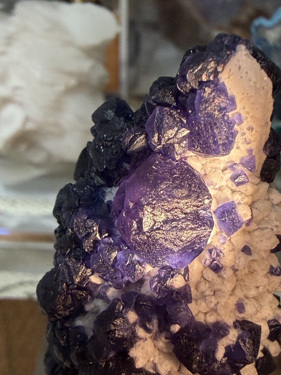 李者瑠璃村 阿頼耶 on X