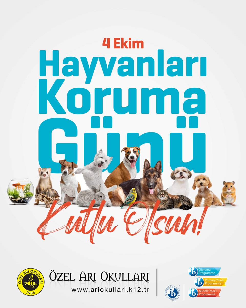 Özel Arı Okulları (@ariokullari) on Twitter photo 