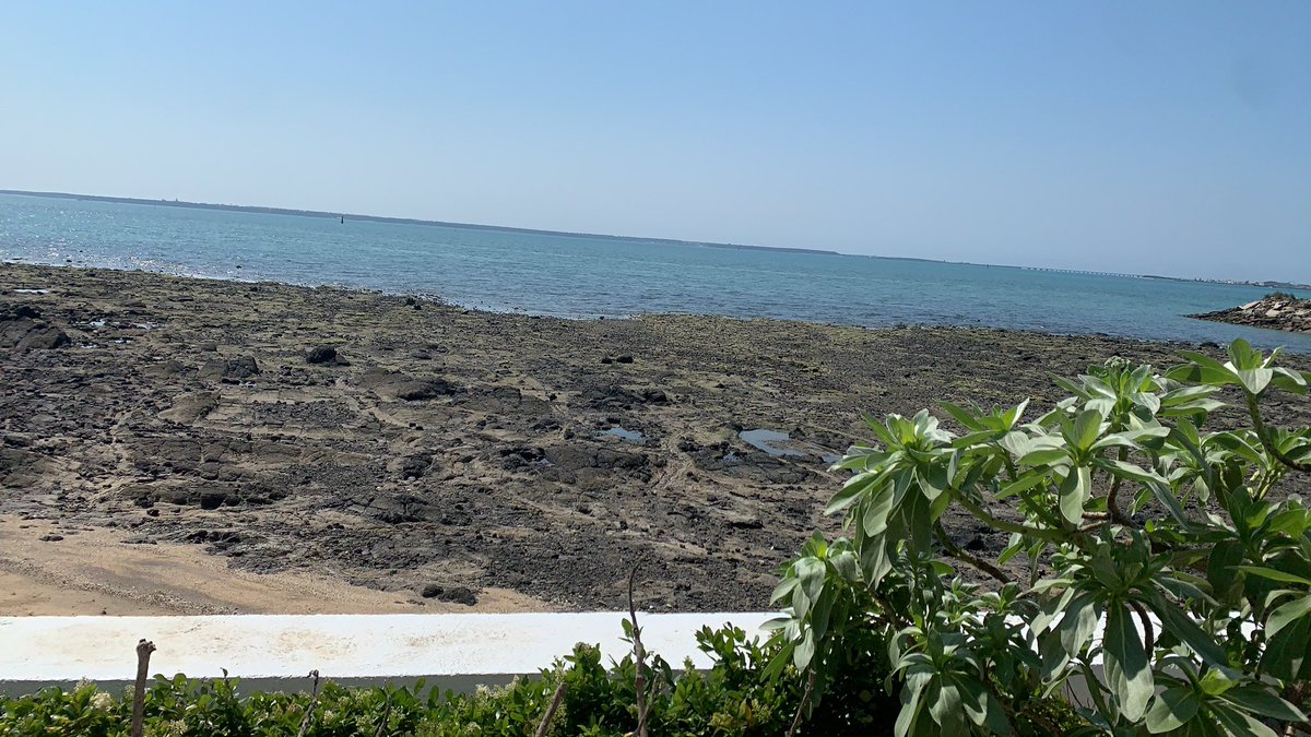 LL25462672's tweet photo. 大海成全了夏天的一半快樂

所有熱爱 奔赴山海
#單女 #夫妻  #情侶  #夫妻情侶 https://t.co/cDyjpkgAAE