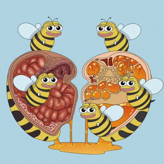 BeeNBee_BNB's tweet photo. BUZZ FACT:
Bees have two stomachs.
One for digesting their own food and another, called a honey stomach, to temporarily store nectar collected from flowers.🐝
#bee #BeeNBee https://t.co/Rl5UyEAaUv