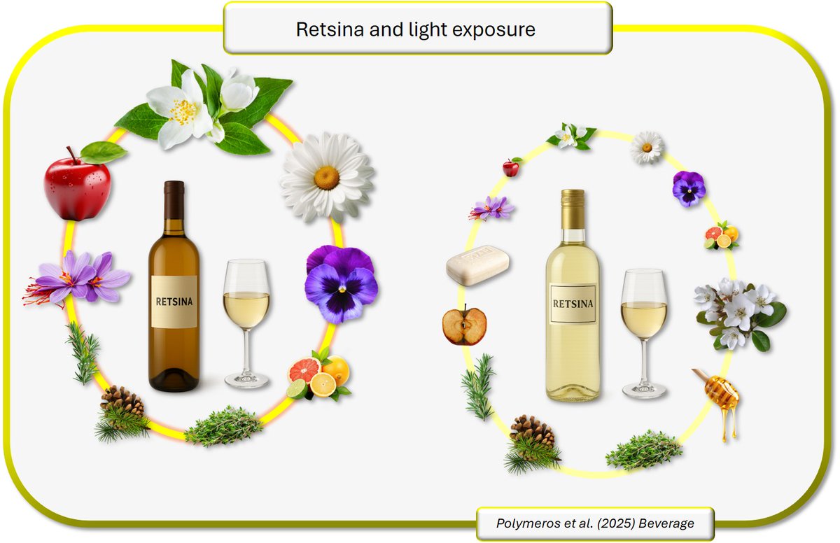 polyphenologist tweet media