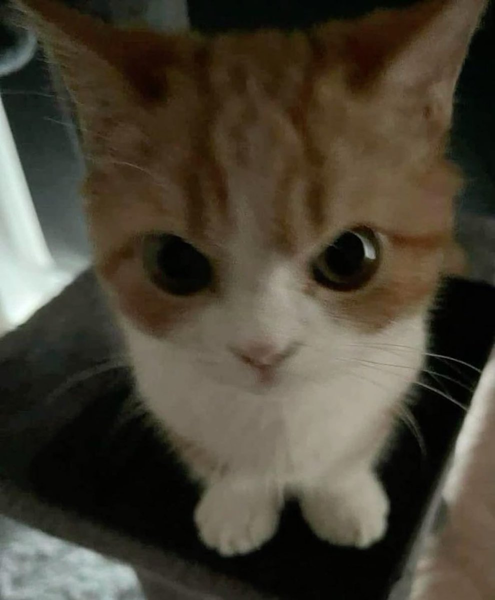 😠