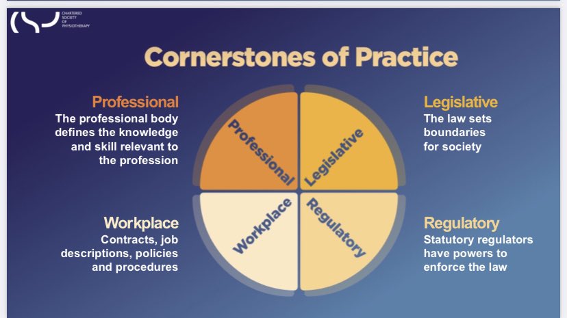 @medicalmodelwithabriochebun tweet media