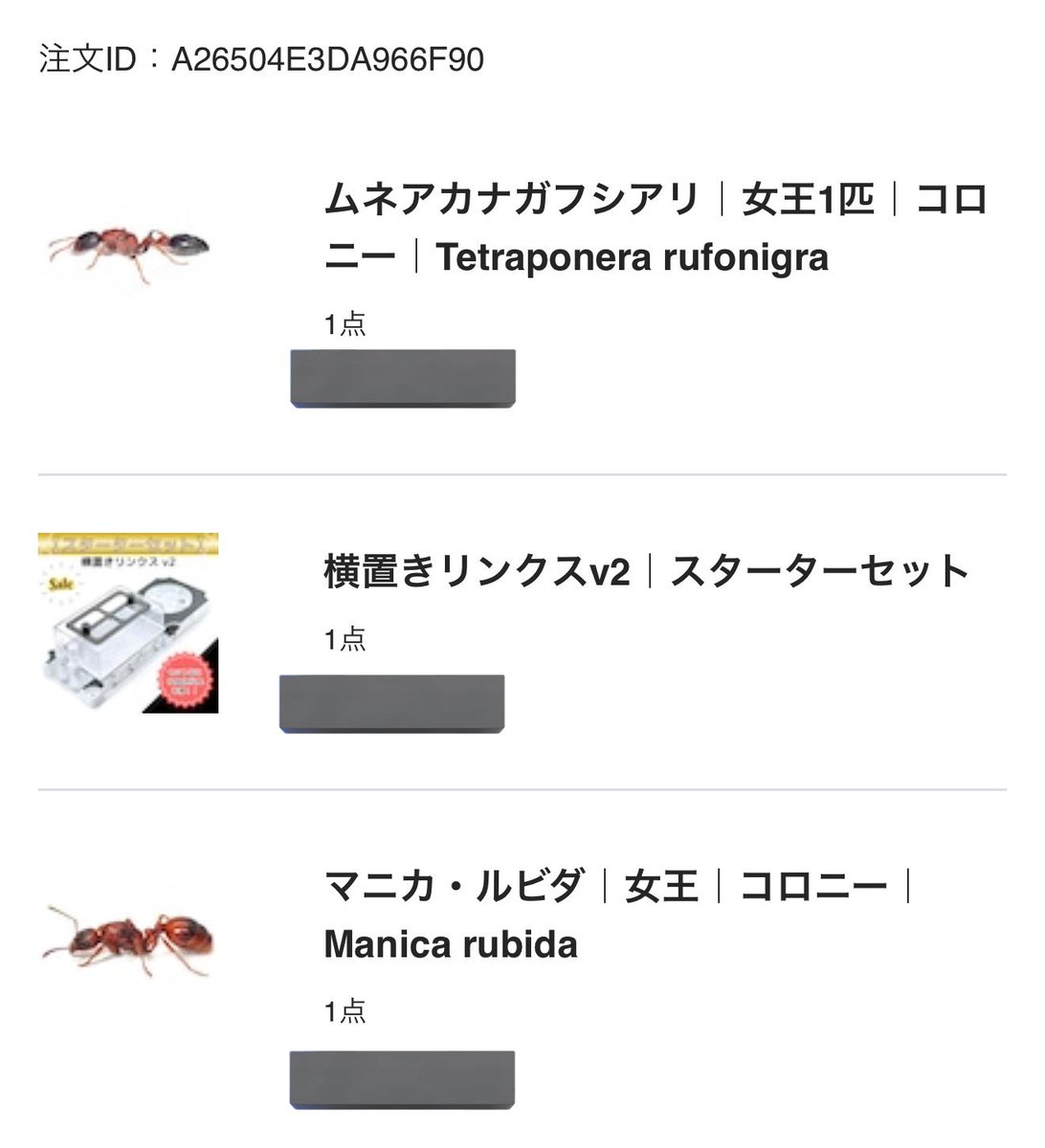 お客　特別お値引きアリ CALIFORNIA 78 EX BLACK / OATMEAL レトロな雰囲気を残しつつも
