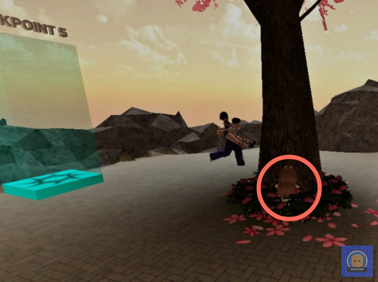 Roblox Fess tweet media