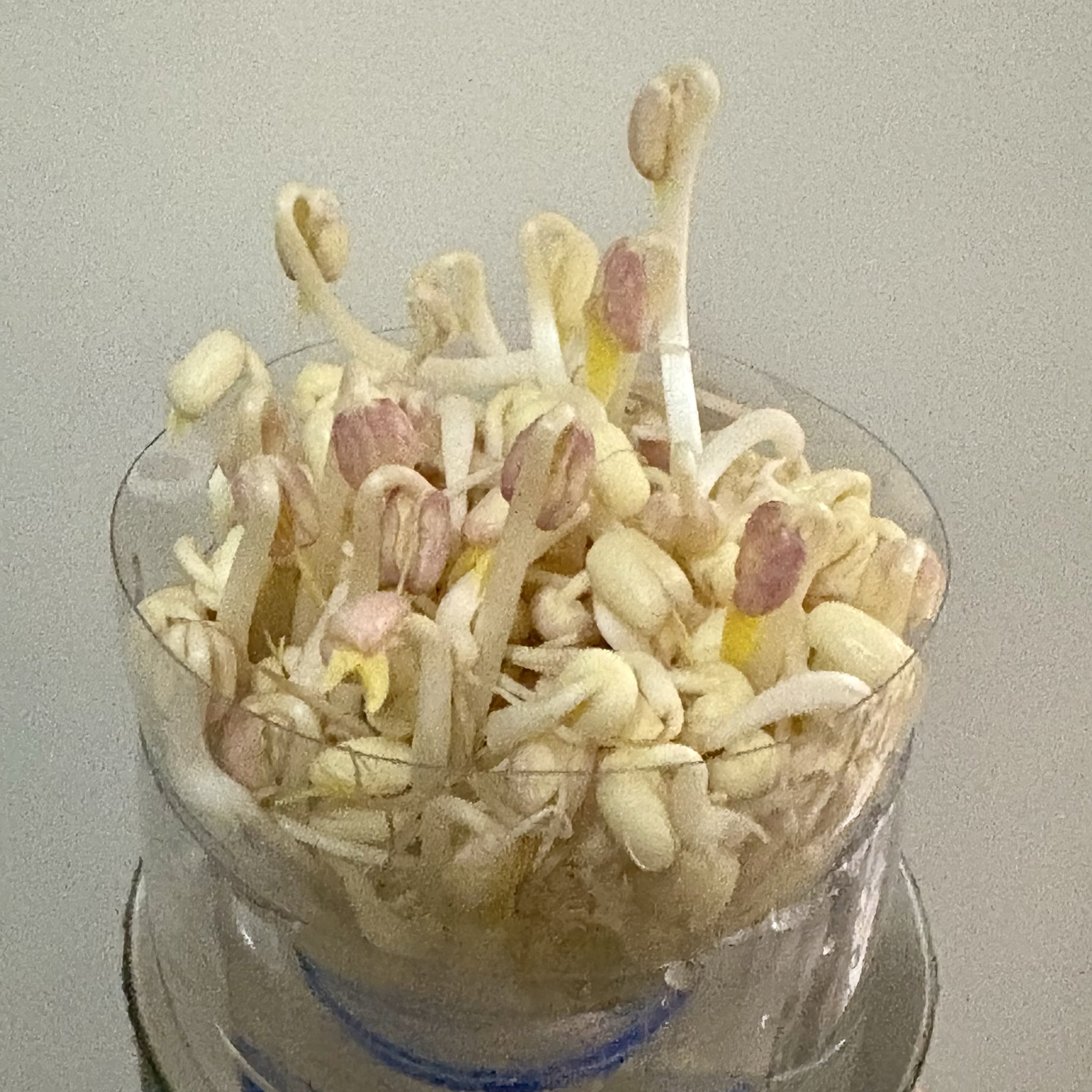 もやし生活リターンズ - البحث / X