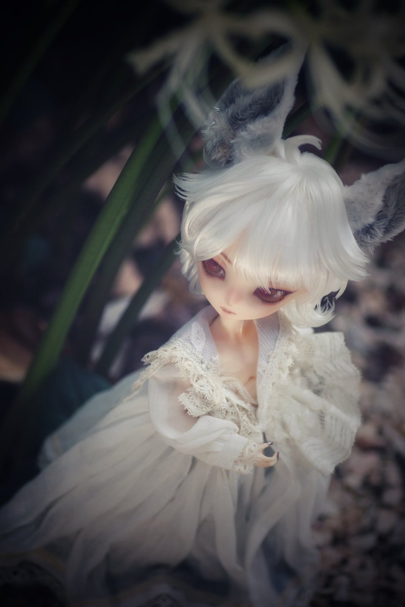 彼岸花とお狐rootくん。 #Harmoniabloom #ハルモニアブルーム