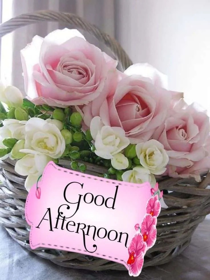 pic_lover2's tweet image. Good Afternoon Photo 

These good afternoon images feature beautiful, colorful roses. afternoon and  on social media. You can download these good afternoon images from the website.

Visit :- piclover.in/good-afternoon…

#Goodafternoon 
#Afternoonvibes 
#Afternoonglow