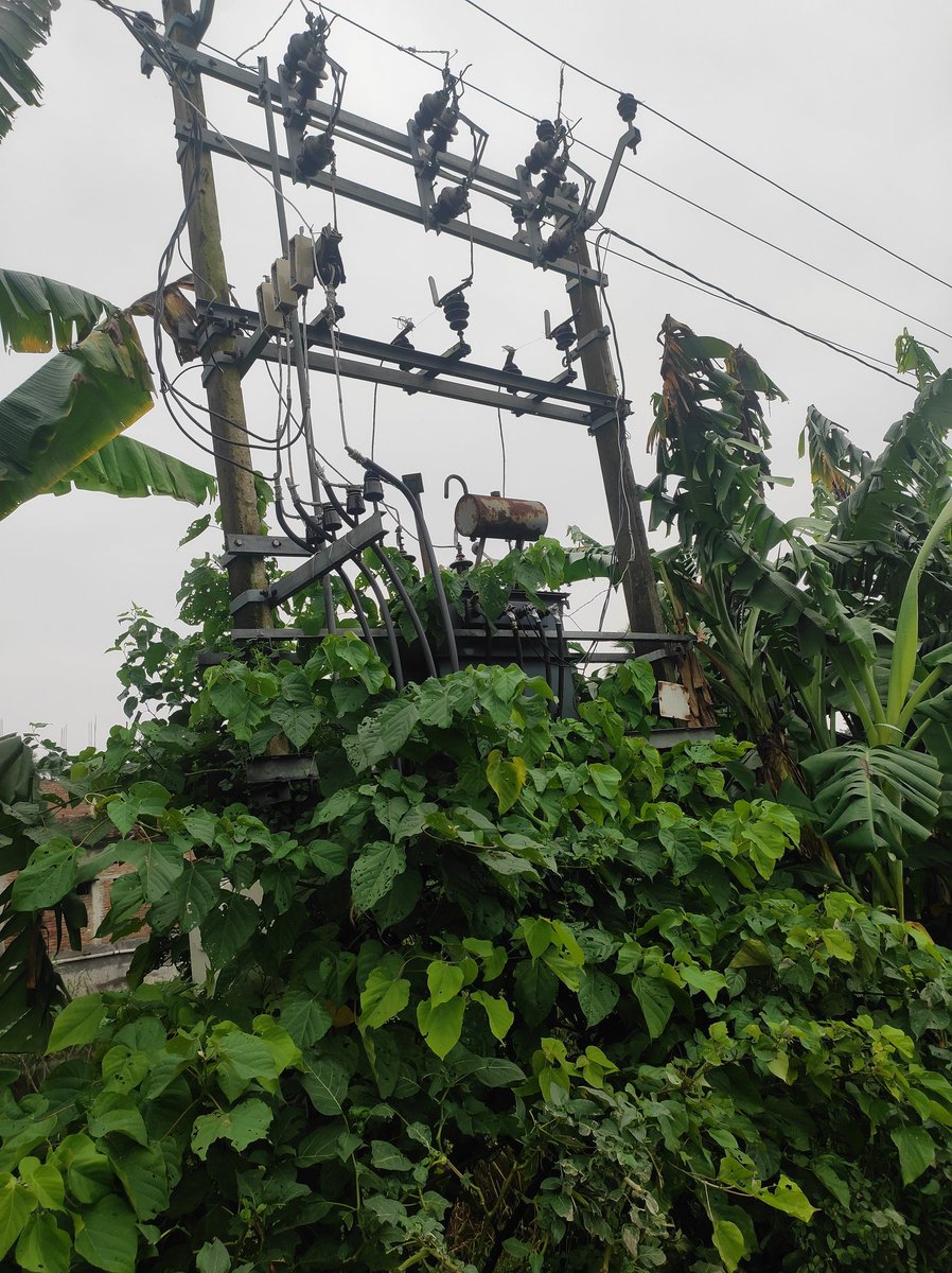 being_papu's tweet photo. @SEVA_NBPDCL🚨Urgent: There has been no power supply since morning in Bishanpur Ijra, Desari Block, Vaishali (Bihar) and now the transformer is sparking continuously! This is a serious safety risk — please send your team immediately before any accident happens. #Bihar #PowerCut https://t.co/nhuaaffUZJ