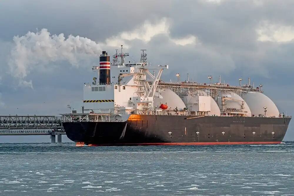 De Gaskoning lacht, Brussel huilt. 

Hahaha, oh mijn god… EU dacht dat ze Rusland konden (cancelen) Pfff. Poetin zit ergens in Siberië vodka te drinken met een dikke sigaar, terwijl Brussel ze laatste gasrekening nog niet eens durft te openen.

Russische LNG-import in Europa is