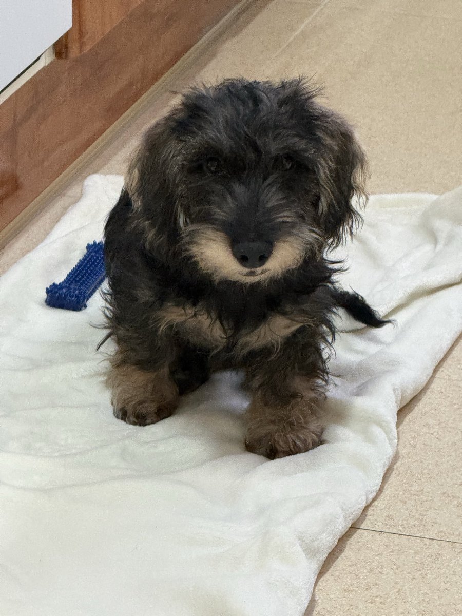 #Tekila “buenos días”