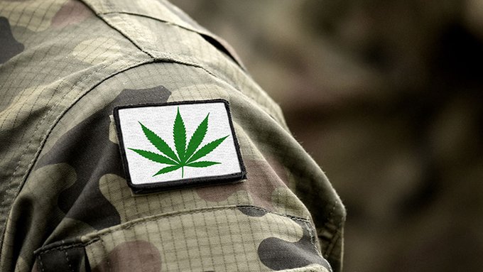 Cannabis Use Associated With Less Stress, Better Sleep Quality Among Military Veterans With PTSD

...subjects acknowledged using cannabis, they reported “lower levels of stress that day and better sleep quality that night...

norml.org/news/2025/04/1…