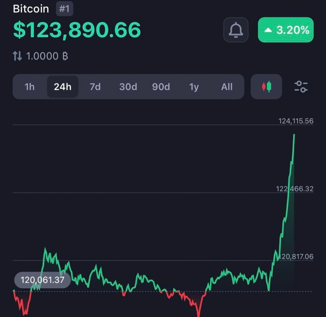 THE BULL RUN IS OVER❗️THAT'S IT!❗️

THE TOP HAS BEEN REACHED ❗️❗️ 

...that's exactly what the #bears were roaring a few weeks ago. 🐻

SLAAAAP‼️👋

$BTC just broke $123,000 and is very close to its next all-time high. BAAAM❗️

Where are the crash prophets NOW⁉️

And it's not