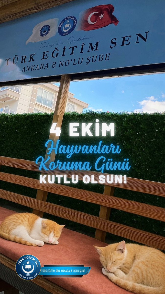 “Bir canı korumak, dünyayı güzelleştirmenin en saf halidir.”